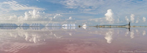 Salt lake, Bonair island by Aleksandr Marinicev 